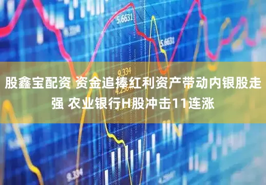 股鑫宝配资 资金追捧红利资产带动内银股走强 农业银行H股冲击11连涨
