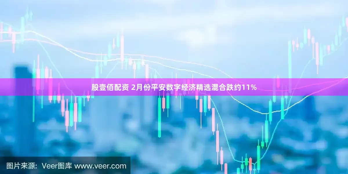 股壹佰配资 2月份平安数字经济精选混合跌约11%